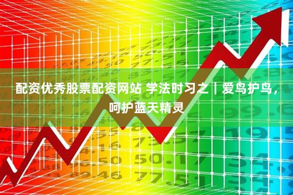 配资优秀股票配资网站 学法时习之｜爱鸟护鸟，呵护蓝天精灵