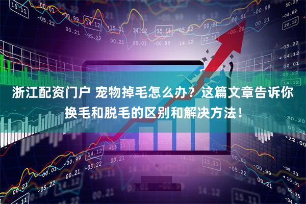 浙江配资门户 宠物掉毛怎么办？这篇文章告诉你换毛和脱毛的区别和解决方法！