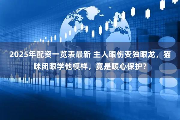 2025年配资一览表最新 主人眼伤变独眼龙，猫咪闭眼学他模样，竟是暖心保护？