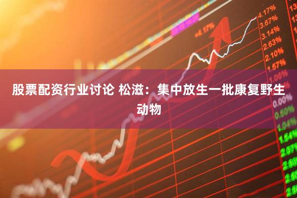 股票配资行业讨论 松滋：集中放生一批康复野生动物