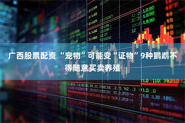 广西股票配资 “宠物”可能变“证物”9种鹦鹉不得随意买卖养殖