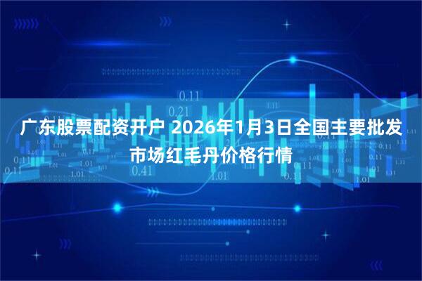 广东股票配资开户 2026年1月3日全国主要批发市场红毛丹价格行情