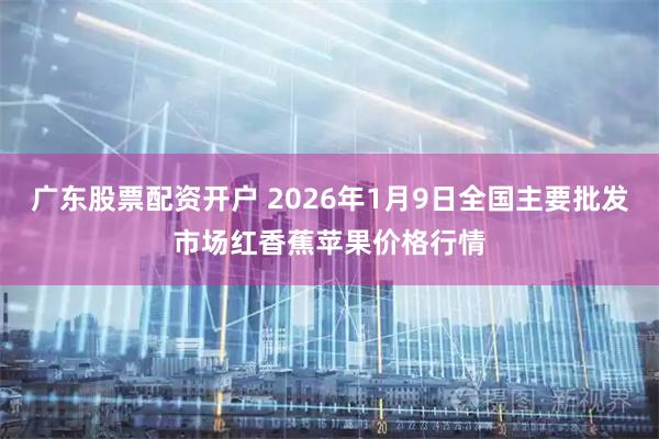 广东股票配资开户 2026年1月9日全国主要批发市场红香蕉苹果价格行情